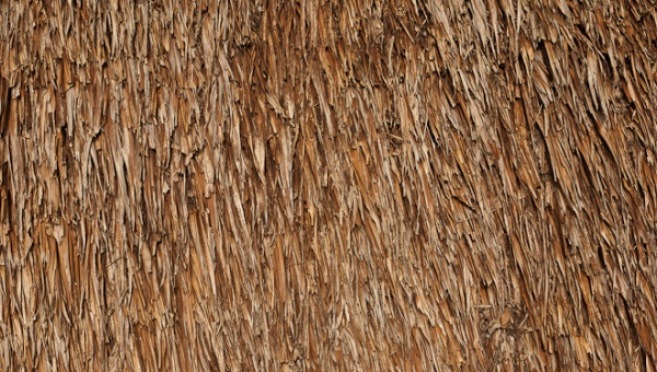 Free 12 Thatched Roof Texture Designs In Psd Vector Eps