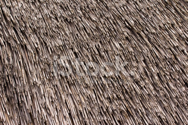 Thatched roof texture Closeup of straws