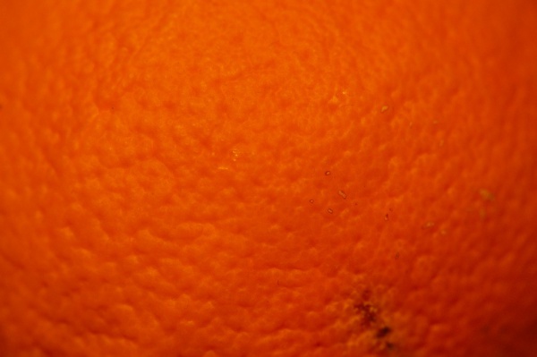 orange Peel fruit Surface Texture