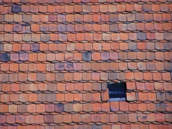 slate tile roof Texture