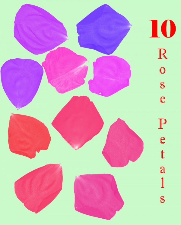 10 Rose Petal brushes