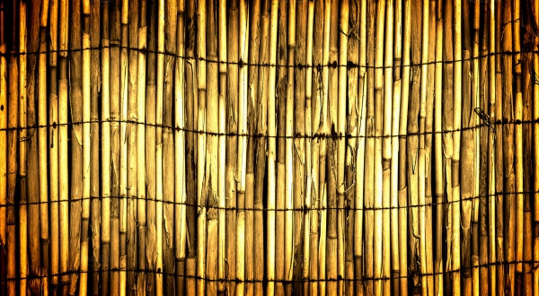 Abstract Bamboo Wall Texture