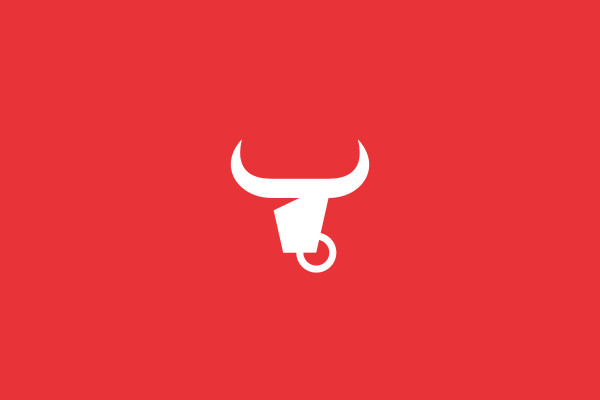 Bull Financial Agency Logo