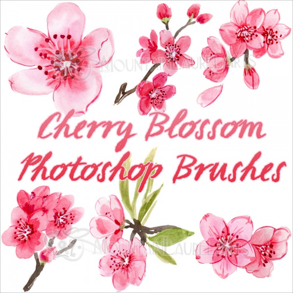 cherry blossom photoshop brushes free download