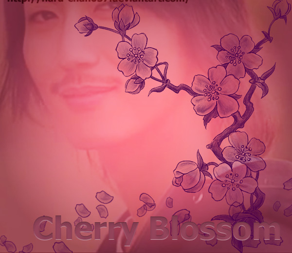 Cherry Blossom Brushes for Adobe Photoshop