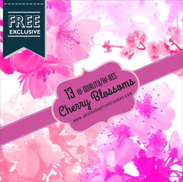 Cherry Blossom Petals Brushes