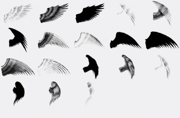 Elegant Wings Brushes For Desktop