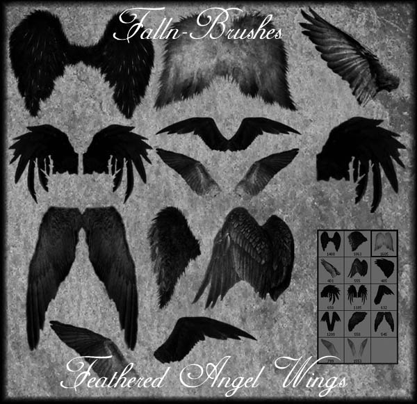 Feathered Angel Wings Brushes