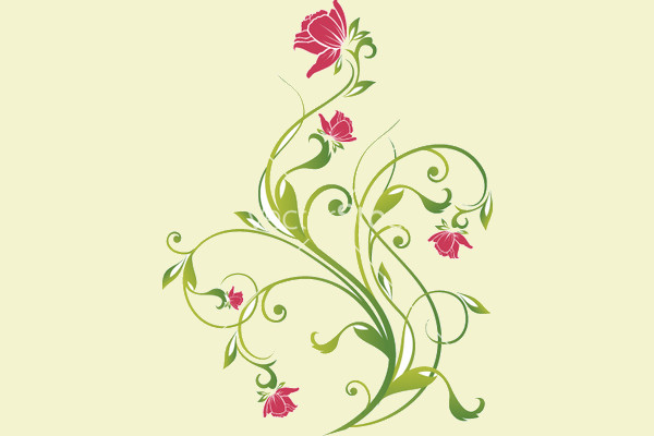 Floral vine graphic vector