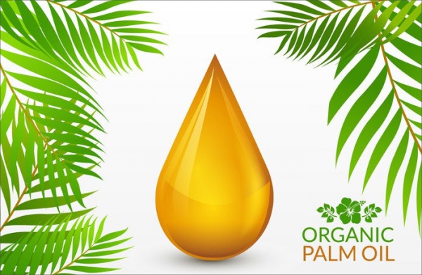 Free Palm Oil Drop Vector