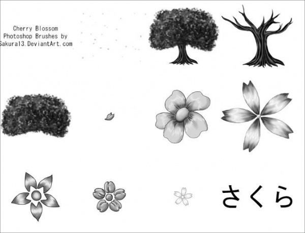 Free Photoshop Brushes of Cherry Blossom