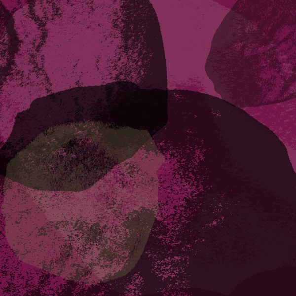 Grunge Photoshop Brushes of Petals