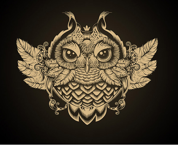 High Quality Owl Illustration