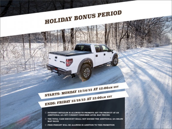 Holiday Period Promotional Flyer