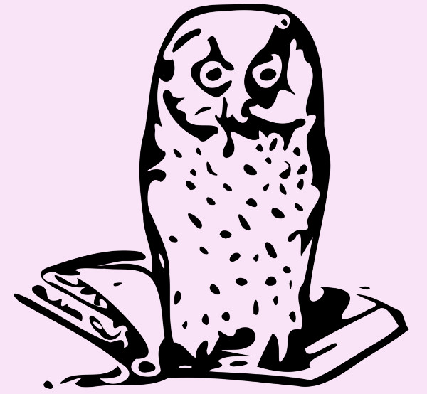 Illustration of An Owl On a Book