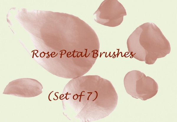 Nature Petal Cascade Brushes