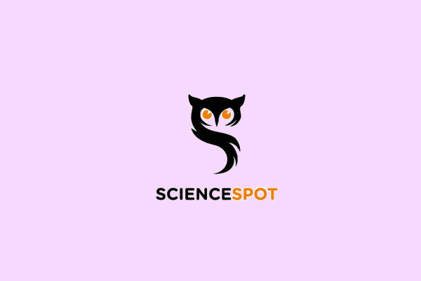 Negative Space Owl Logo Design