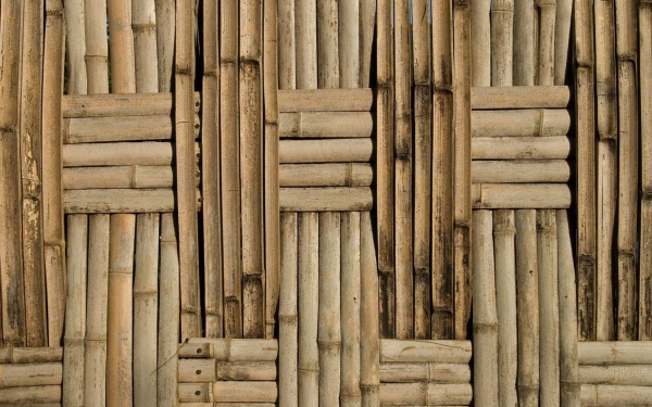 Small Bamboo Pattern