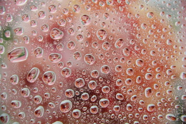 Floral Water Droplets Texture