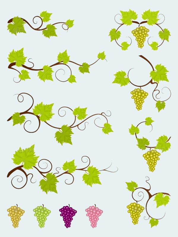 Download FREE 21+ Vine Vectors in PSD | Vector EPS