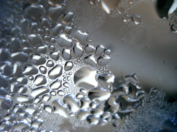 Water Drops Dew Texture