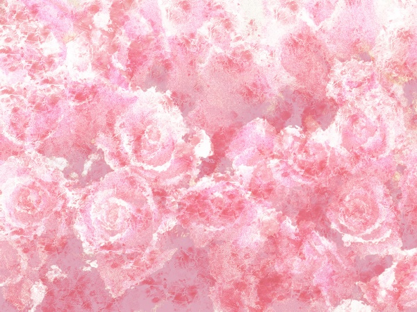 Beautiful Pink Roses Texture
