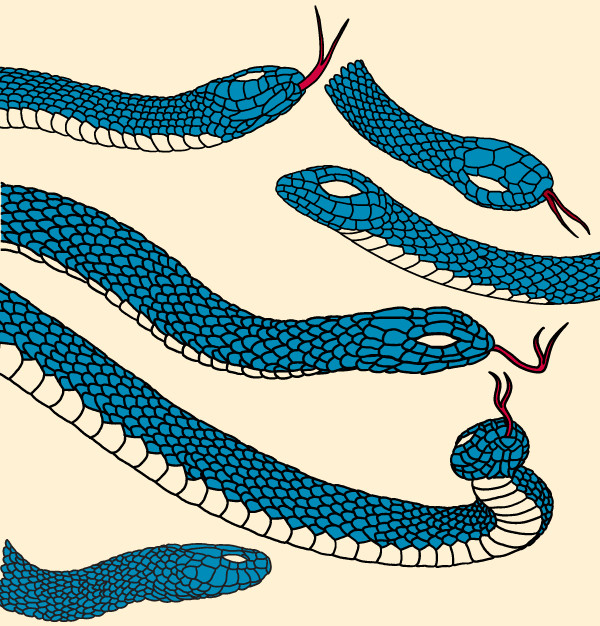 Amazing Snake Vector Pack