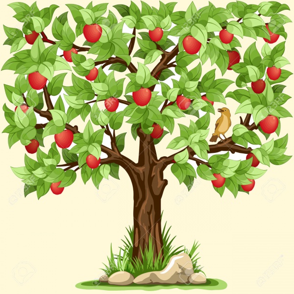 Apple Tree Illustration