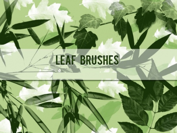 Bamboo Leaf Brushes Photoshop
