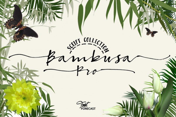 Bamboo Photoshop Brush Pack