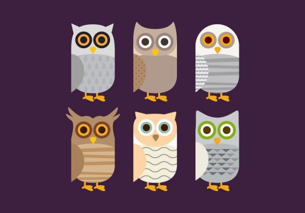 Colorful Barn Owl vector