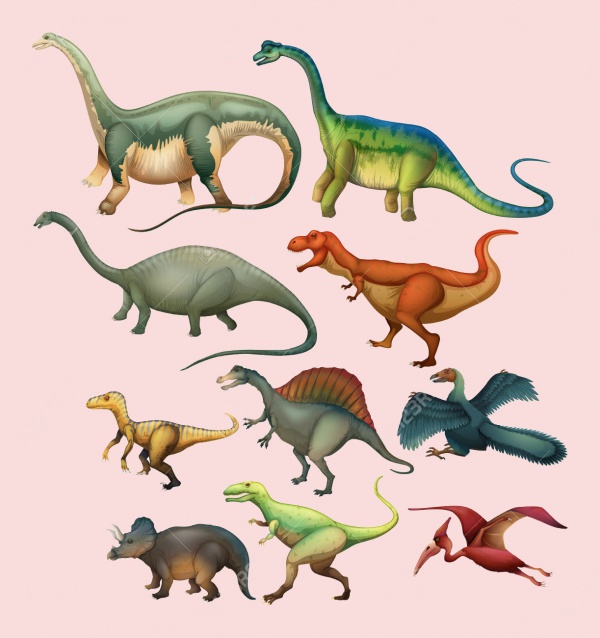 Different Type of Dinosaurs Illustration