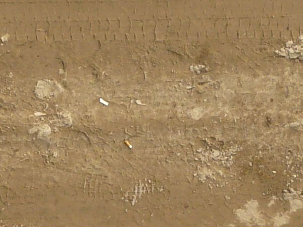 Dirt Road Texture in Brown Tones