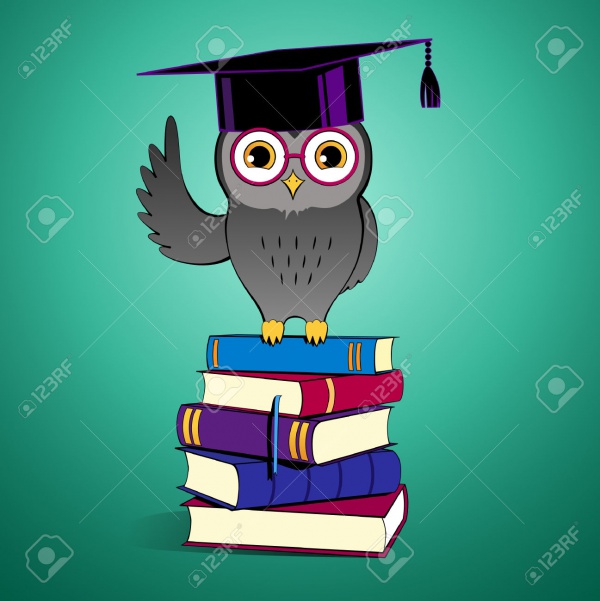 Download Owl Vector For Desktop