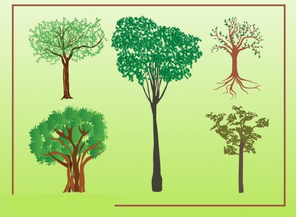 Ecological Deciduous trees Illustration