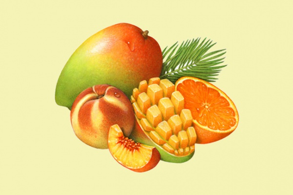 Elegant Creative fruit Illustration