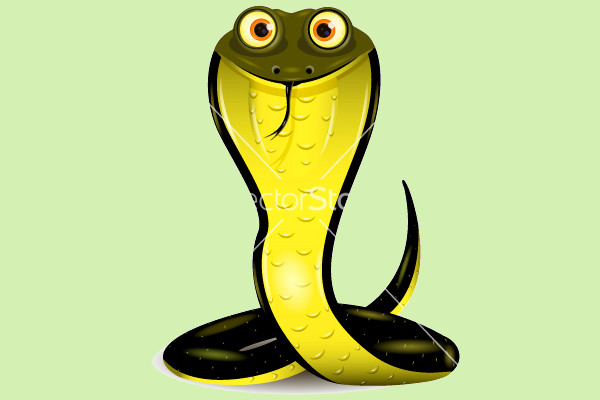 Elegant Snake Head vector
