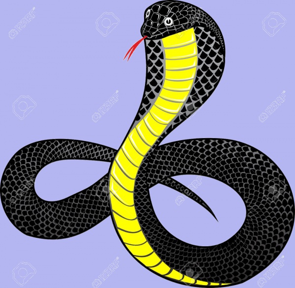 Fantastic Vector illustration snake