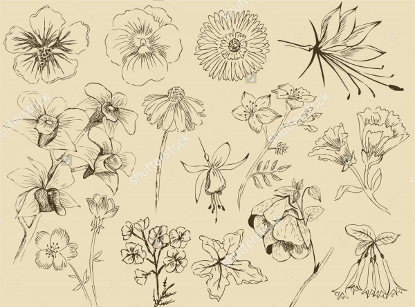 Flower Sketches Gimp Brushes