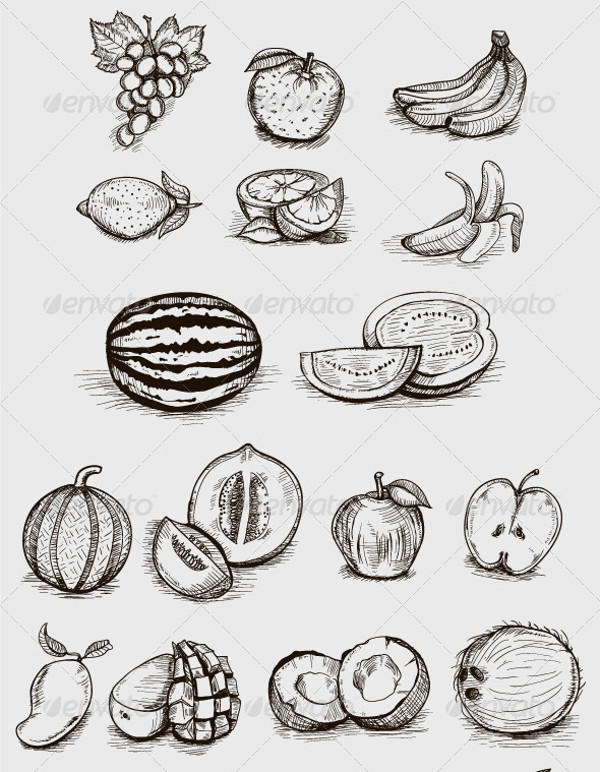 Hand Drawn Fruit Illustration