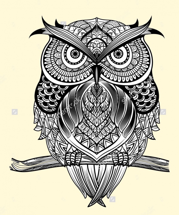 Hand Drawn Owl Head Vector