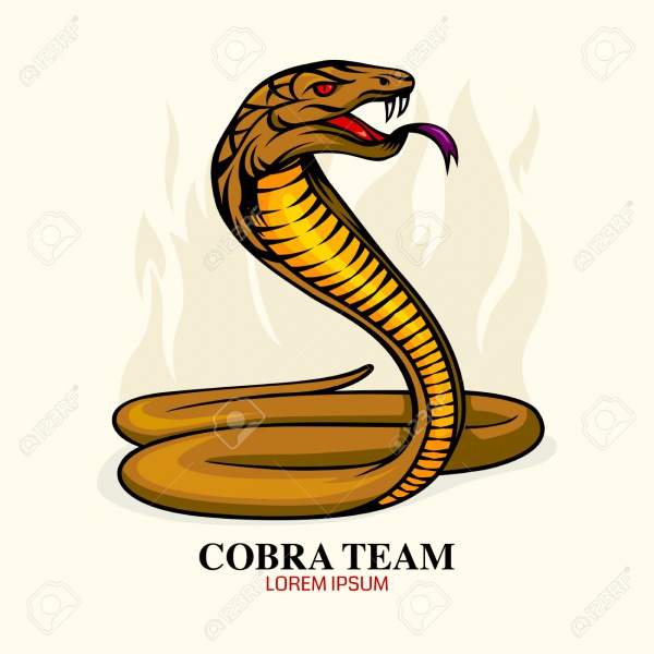 High Quality Cobra Snake Vector