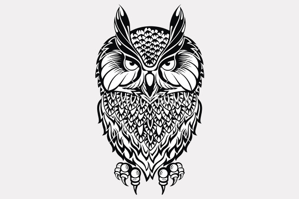 High Resolution Owl vector