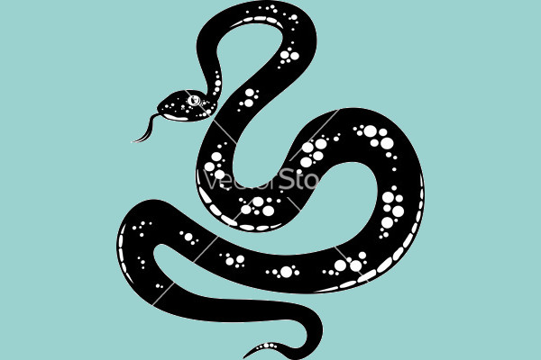 High Resolution Snake Vector