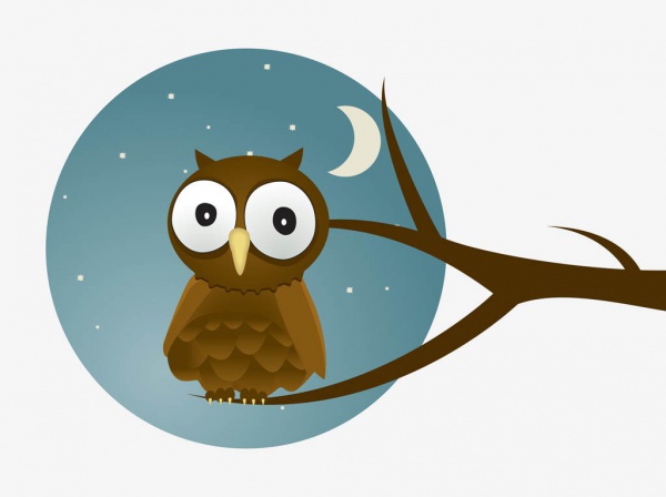 Nighttime graphics Owl Vector