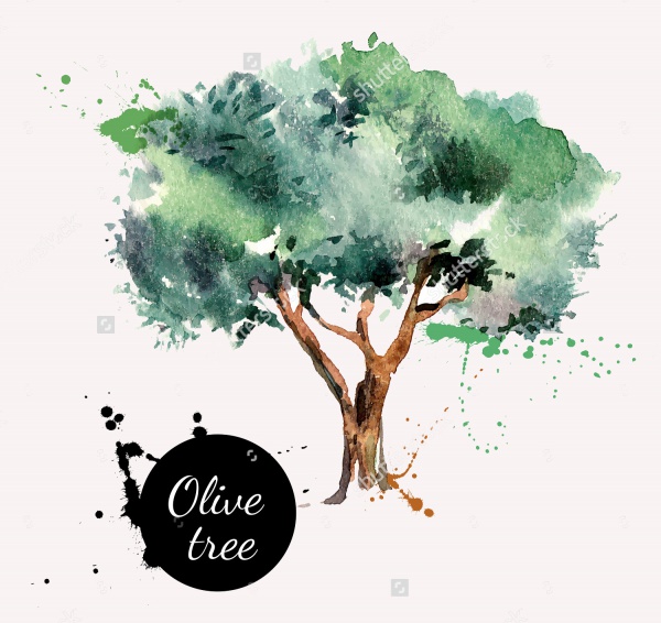 Olive Tree Vector Illustration