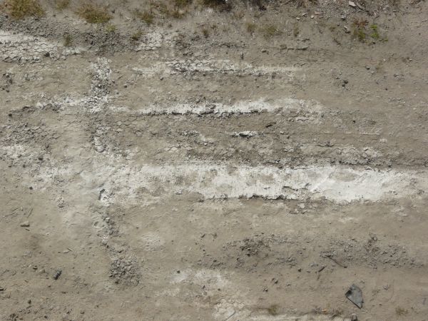 Rough Dirt Road Texture in Grey Tones