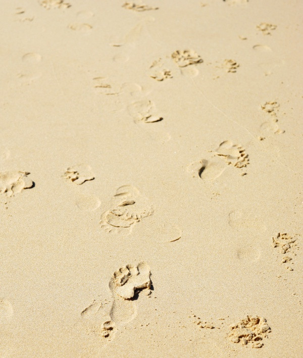 Sand Beach Texture With Footprints