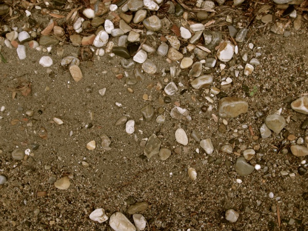 Shell Beach Texture For Free