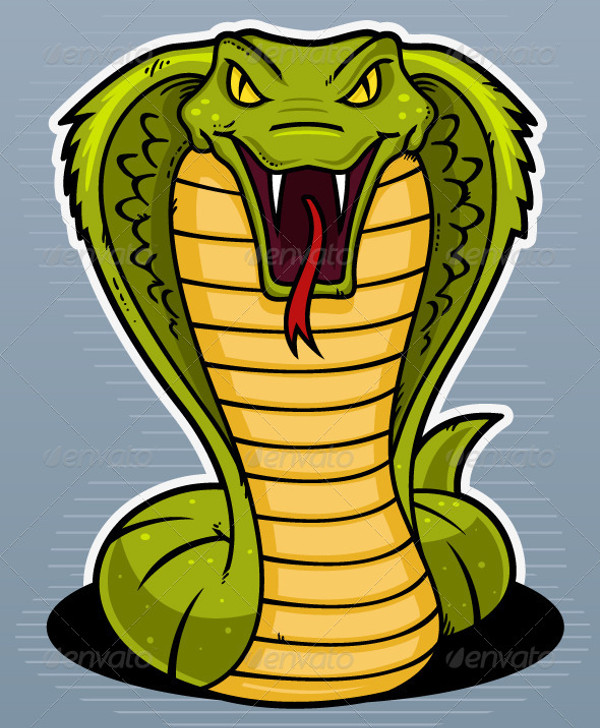 Snake Head Vector Illustration